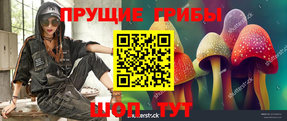 Мариинск  Псилоцибиновые грибы Psilocybine cubensis  Вход с VPN  Галлюциногенные грибы Cubensis 