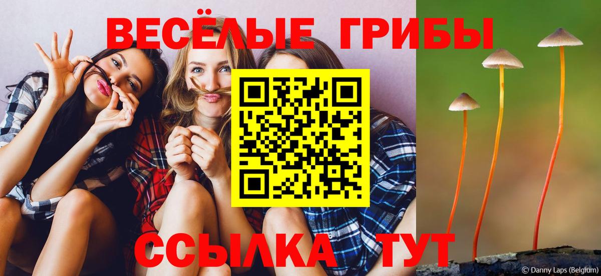 Псилоцибиновые грибы ЛСД Мариинск